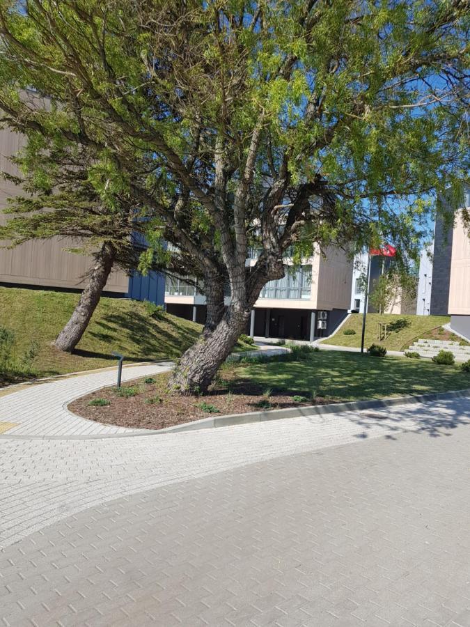 Apartamentai Su Vaizdu I Jura Паланга Екстериор снимка